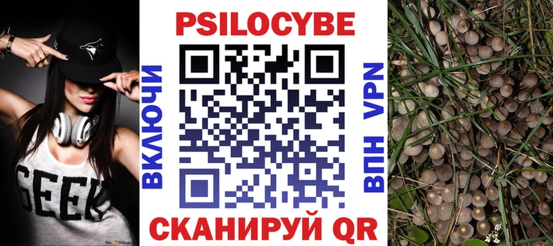 OMG как зайти  Каспийск  Псилоцибиновые грибы мухоморы  цены  
